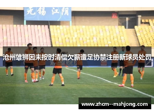 沧州雄狮因未按时清偿欠薪遭足协禁注册新球员处罚 沧州雄狮因未按时清偿欠薪遭足协禁注册新球员处罚
