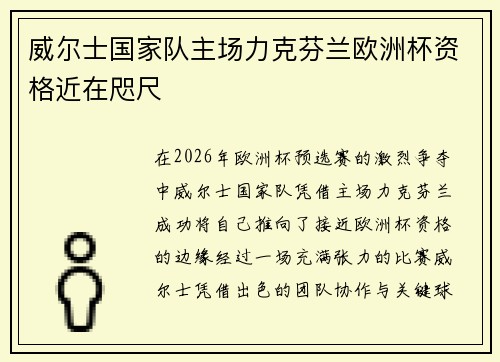 威尔士国家队主场力克芬兰欧洲杯资格近在咫尺 威尔士国家队主场力克芬兰欧洲杯资格近在咫尺